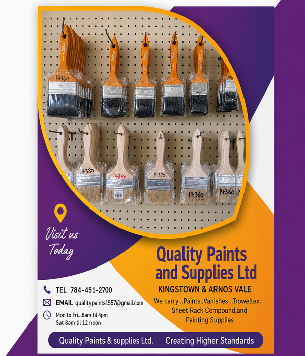 Assorted Paint Brushes Collection