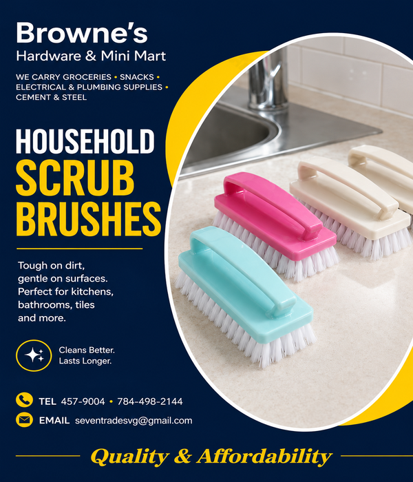 BHM Household Scrub Brushes