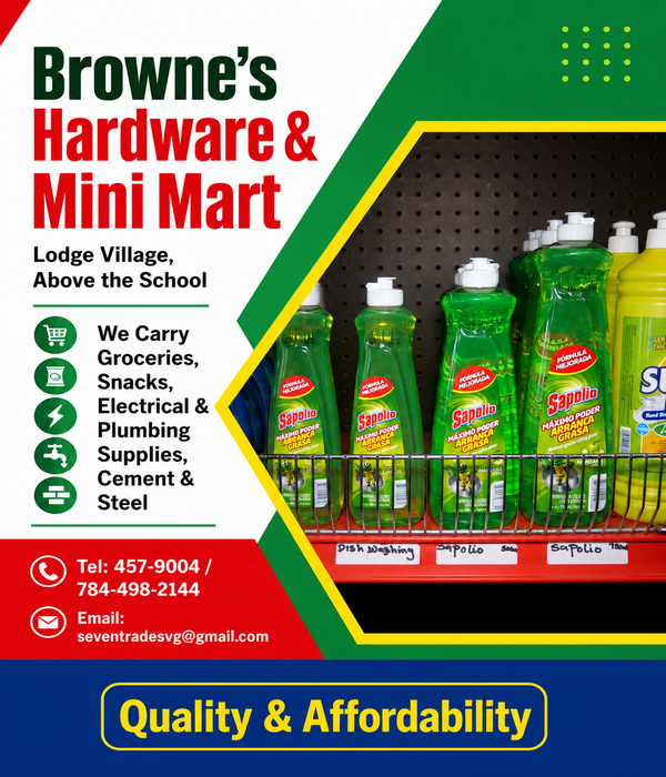 BHM Sapolio Dishwashing Liquid Collection