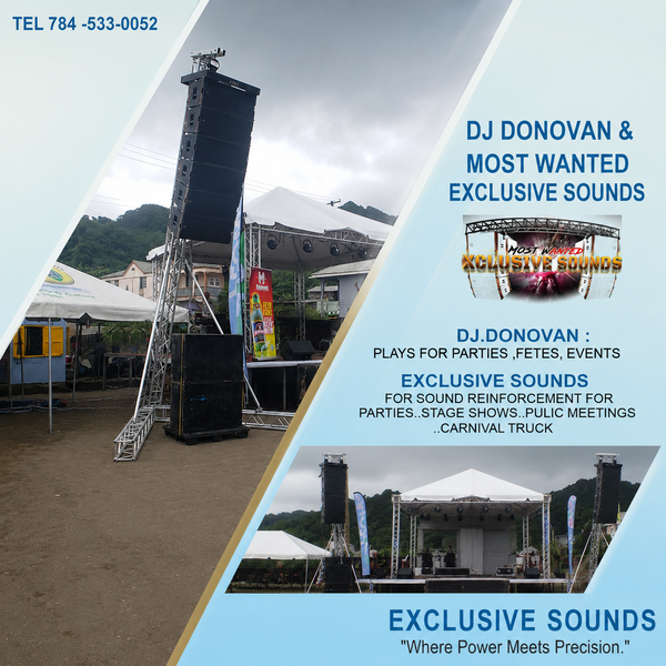 Professional Line Array Sound System Stage Setup