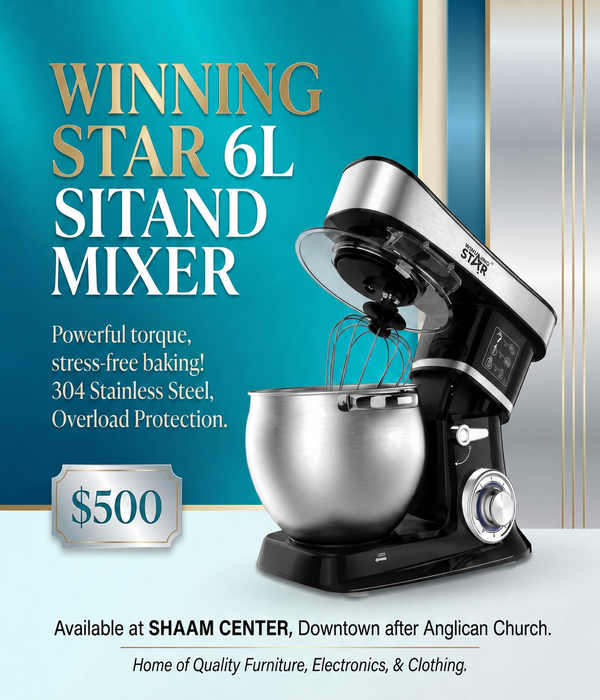 Winning Star 6L Tilt-Head Stand Mixer