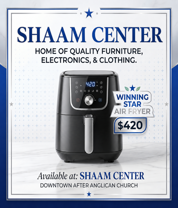 Winning Star Digital Air Fryer
