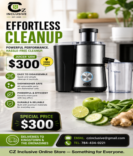 Czinclusive Online Store - 120V Electric Juicer - Image 1
