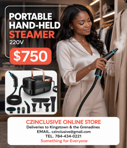 Czinclusive Online Store - Portable Hand-Held Garment Steamer - Image 1