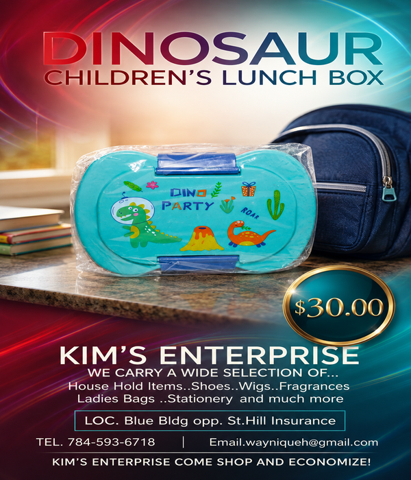 Dinosaur Children’s Lunch Box