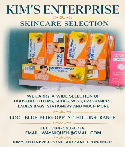 Kim's Enterprise- Natural Papaya Skincare Gel - Image 1