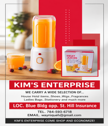 Kim's Enterprise- Portable Rechargeable Fruit Juicer Blender - Image 1