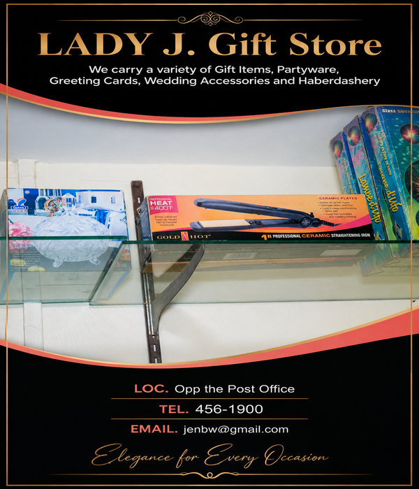 Lady J. Gift Store – Professional Ceramic Hair Straightening Iron