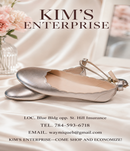 Metallic Champagne Ankle-Strap Ballet Flats - Image 1