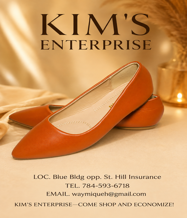 Tan Pointed-Toe Ladies’ Ballet Flats