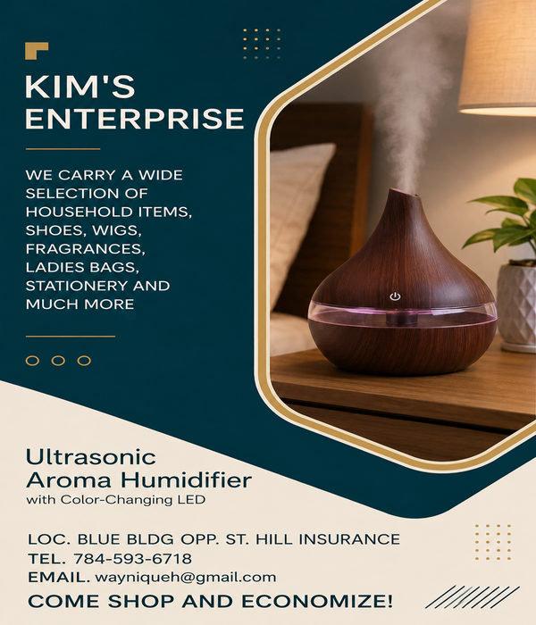 Ultrasonic Aroma Humidifier with Color-Changing LED